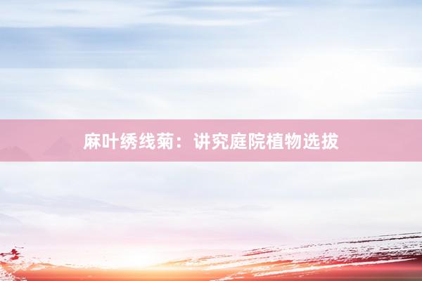 麻叶绣线菊：讲究庭院植物选拔